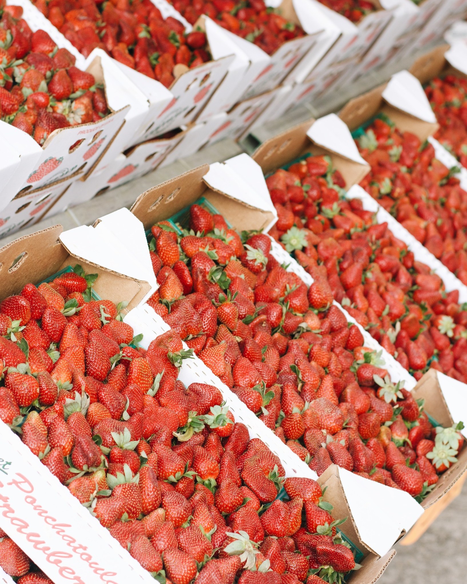 Red Stick Farmers Market