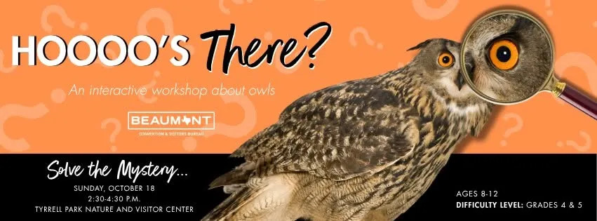 Hoooo's There? An Interactive Workshop About Owls