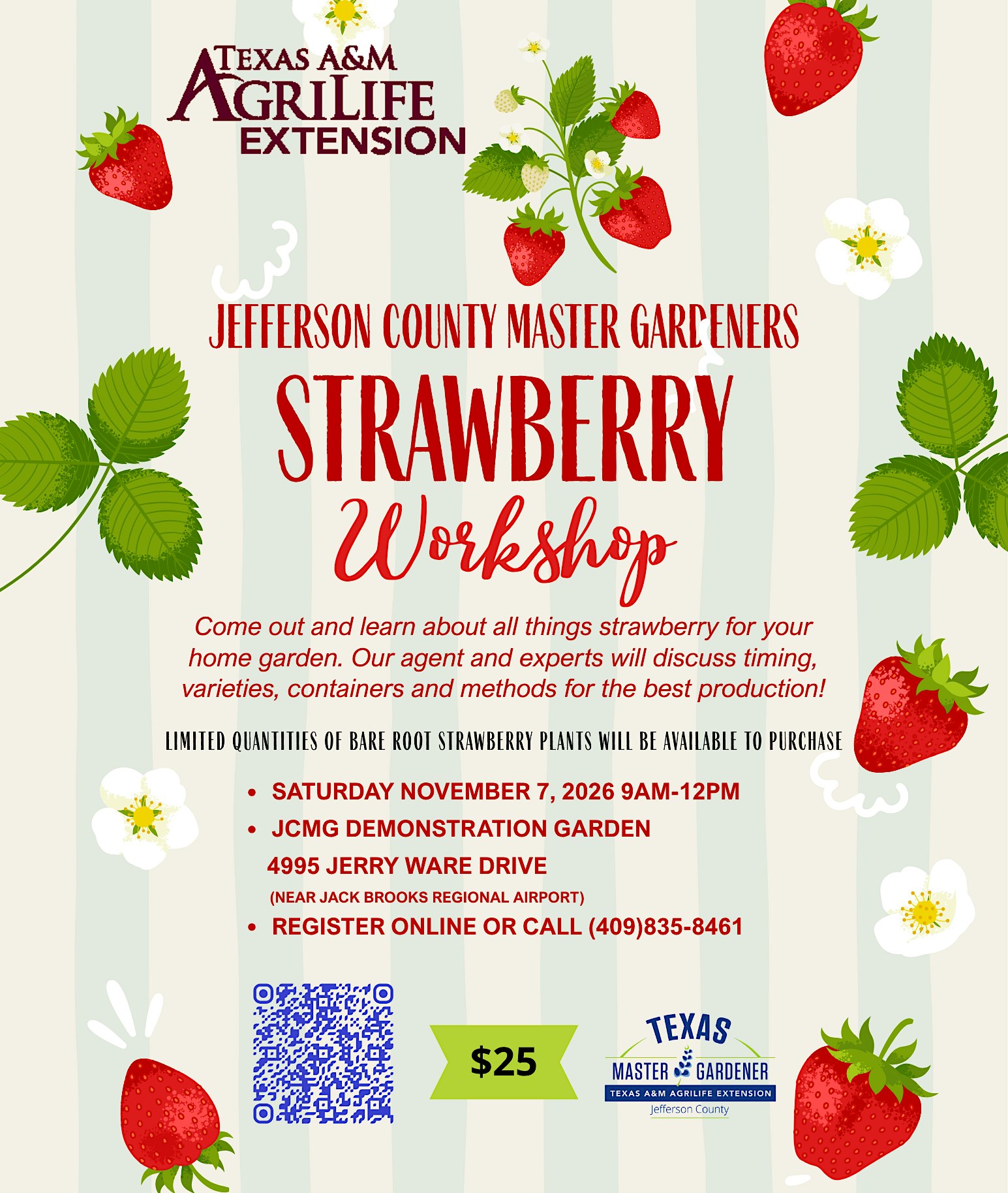 Strawberry Workshop