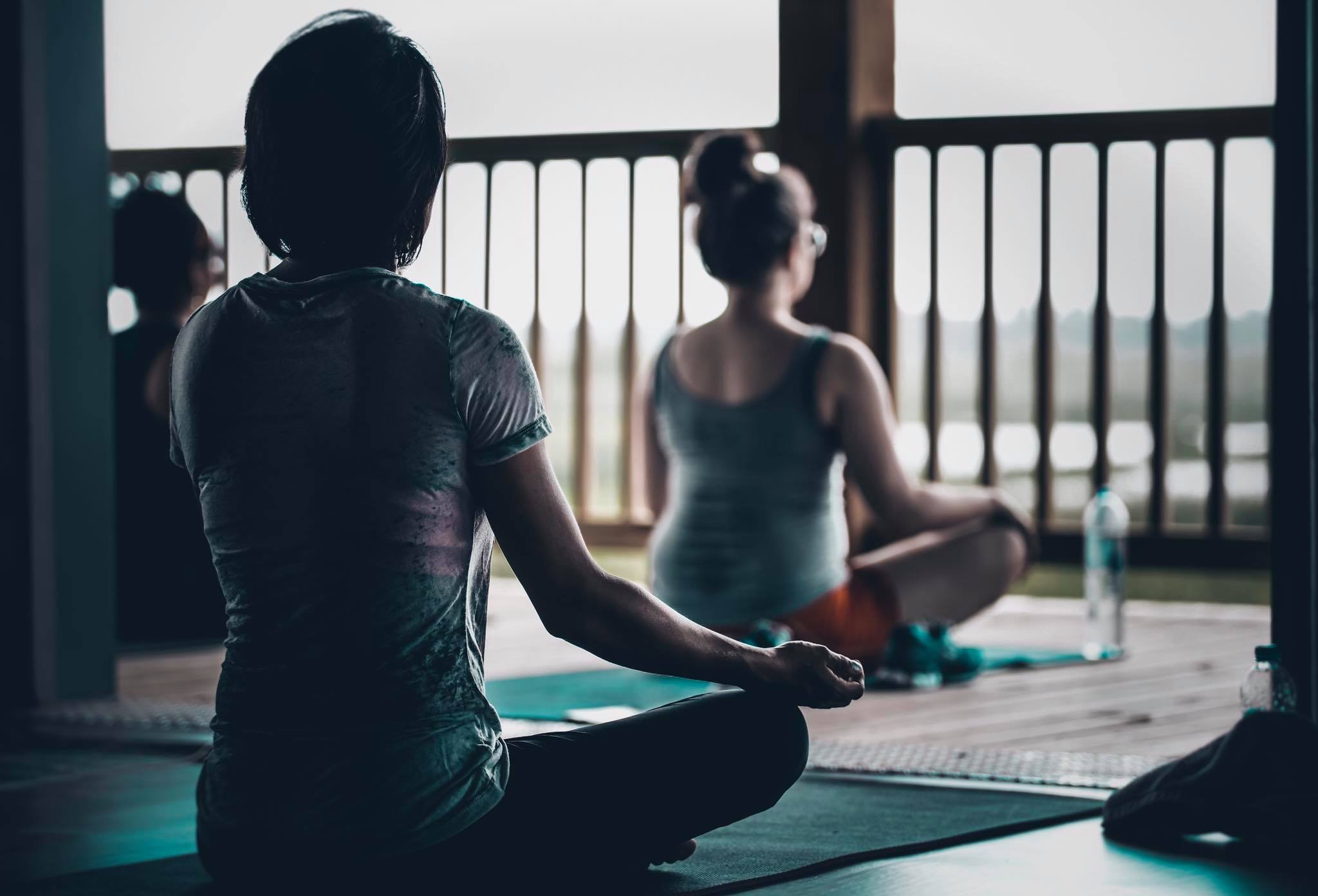 Yoga at Cattail Marsh