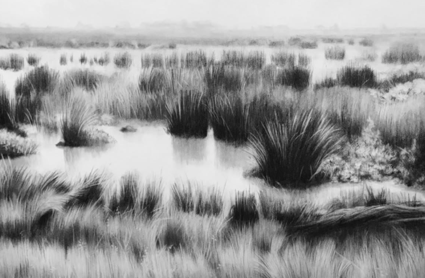 Opening Reception- Ken Mazzu: Wetlands