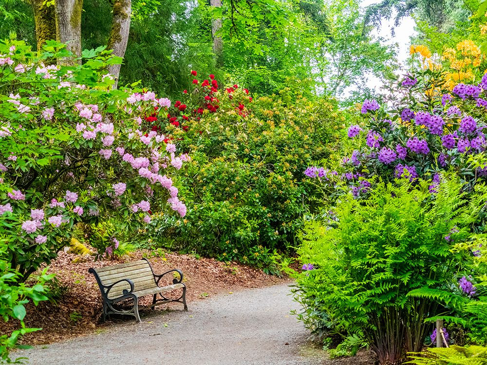Wisdom of Nature Series: A Meditation Practice in the Garden
