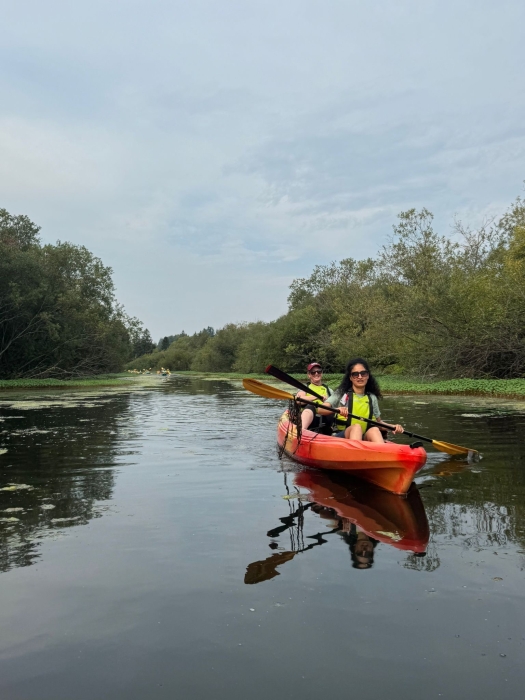 Urban Wetlands Kayak Tour at Enatai Beach Park