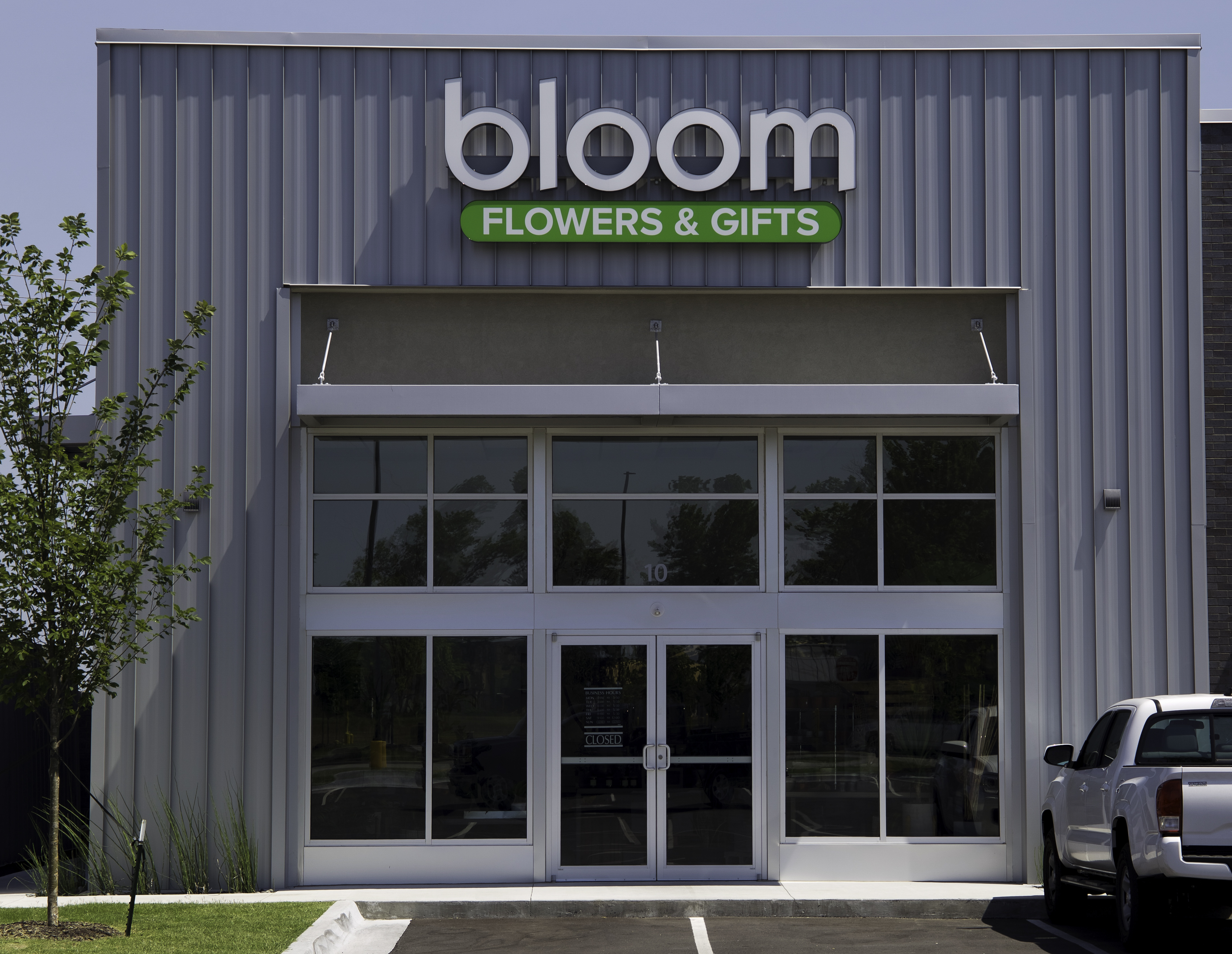 その他 Full Bloom (381) Bloom1-
