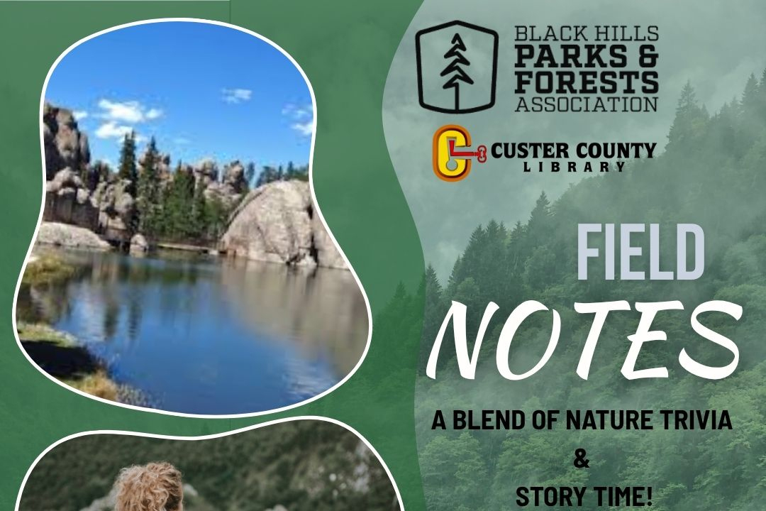 Field Notes: Stories and Skills from the Natural World