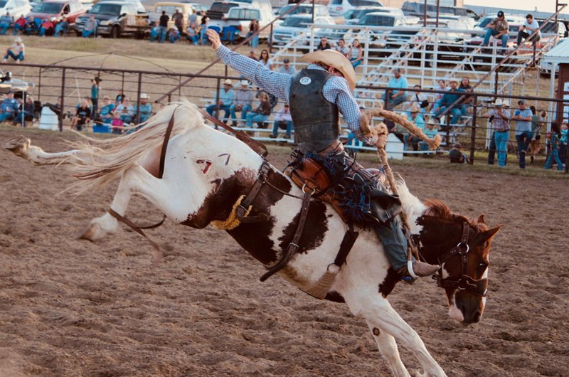 Murdo Ranch Rodeo & Gumbo Ridge Bronc Ride