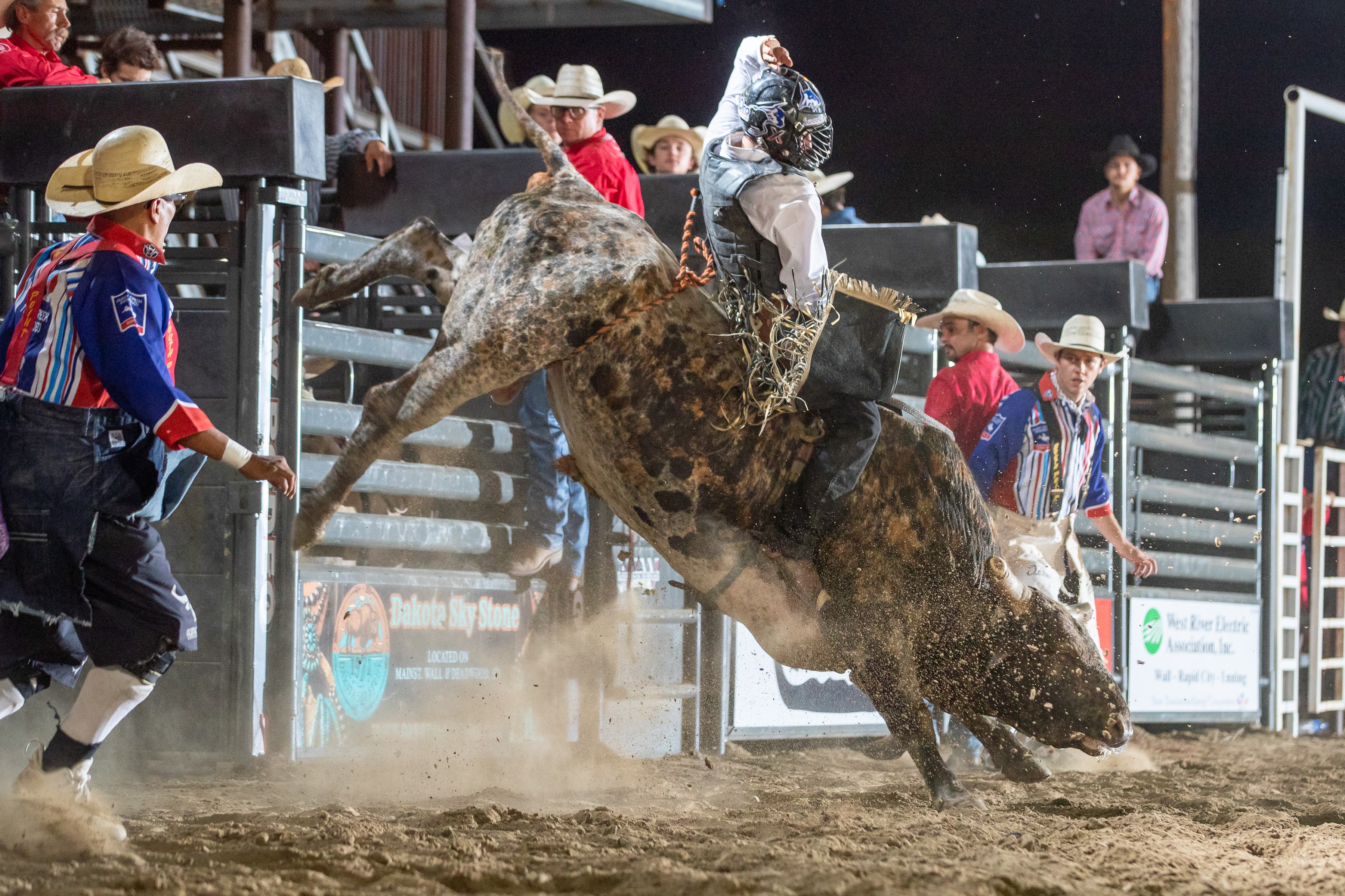 Wall Celebration Pro Rodeo