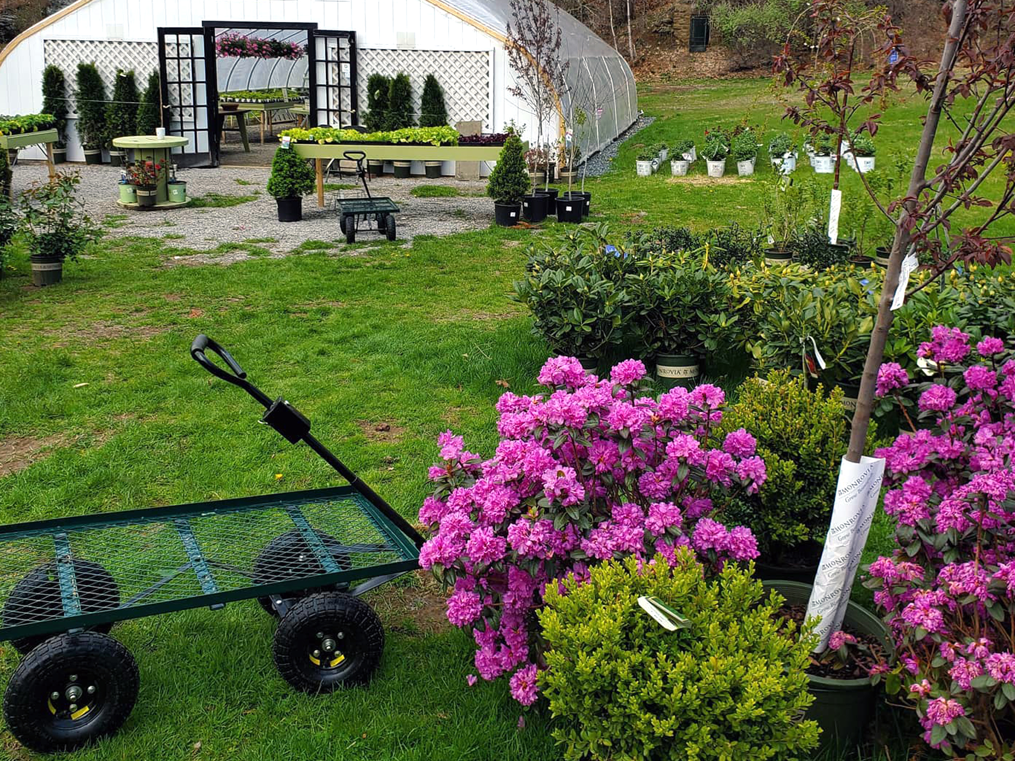 Vintage Gardens