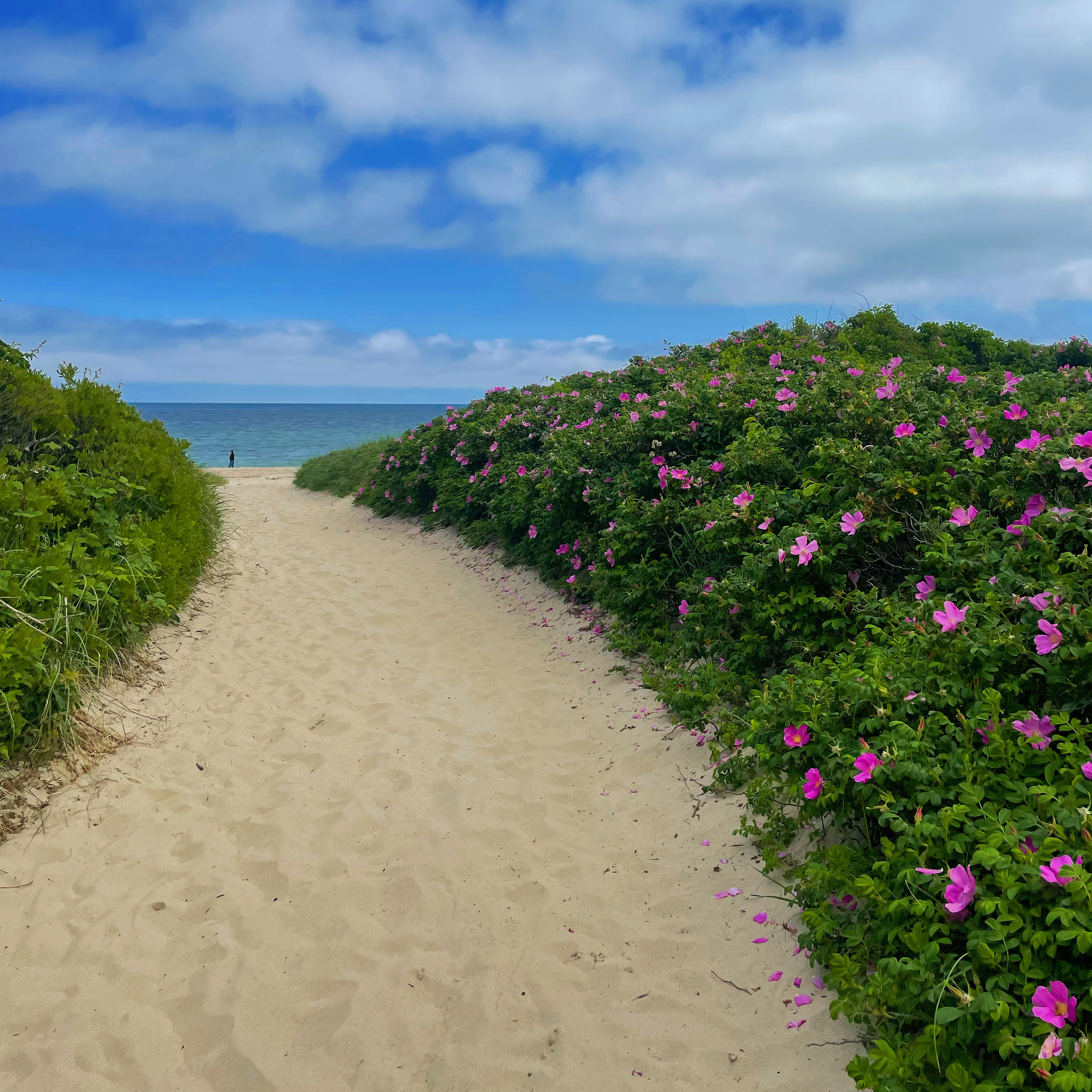 Mansion Beach, Rhode Island: Your Ultimate Travel Guide