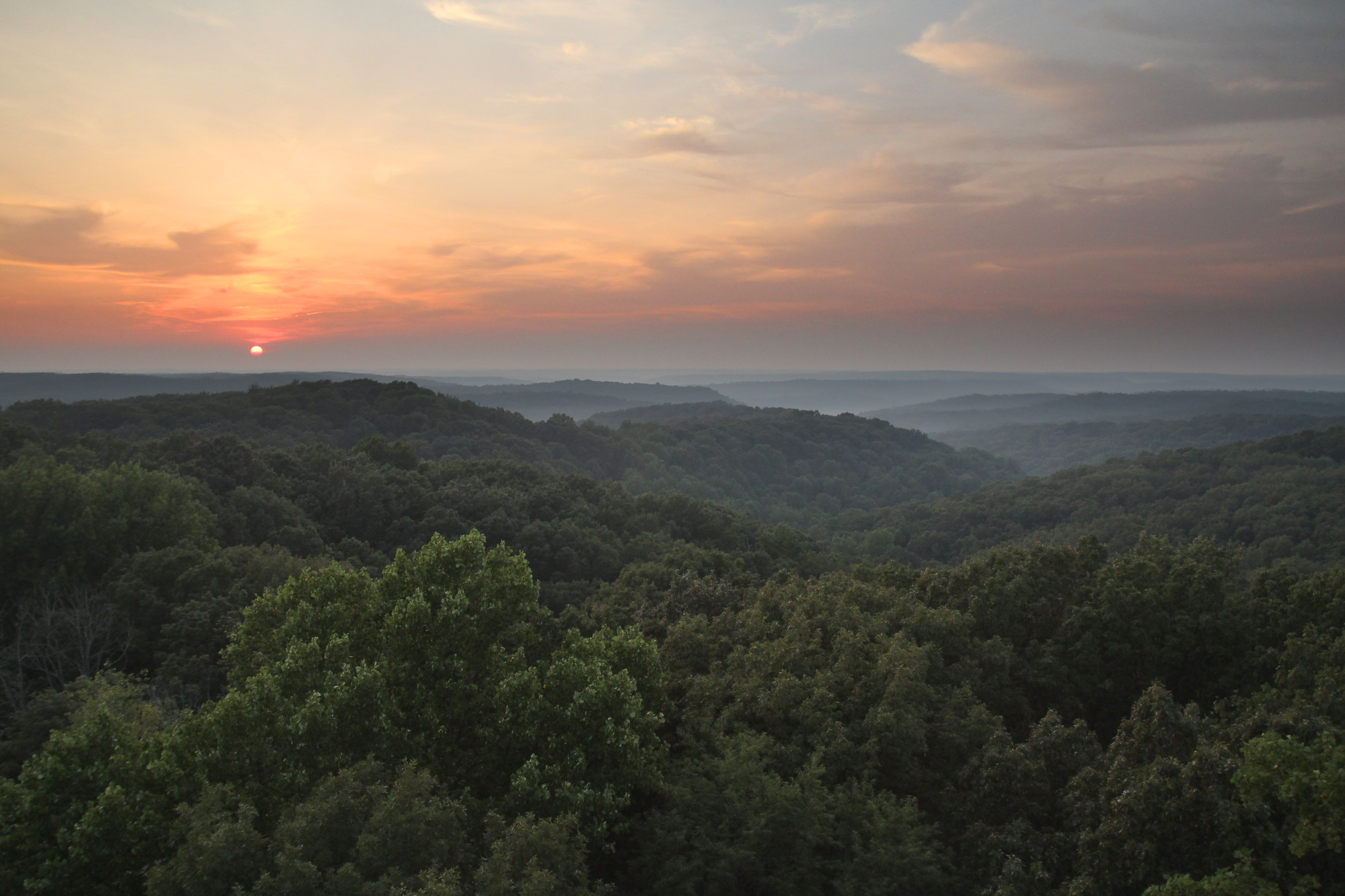 Charles C. Deam Wilderness