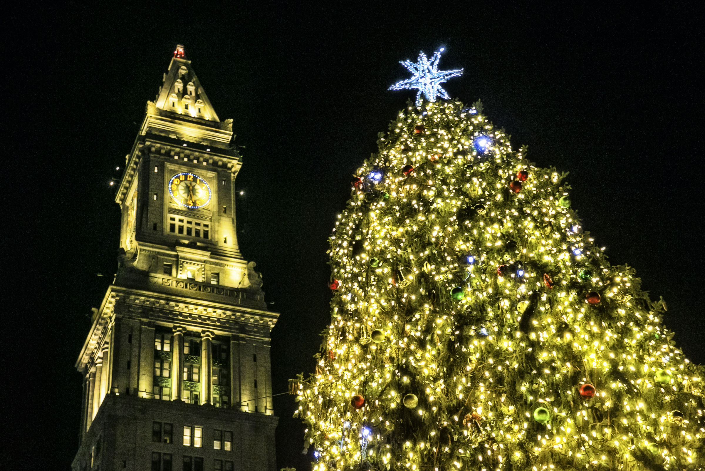 christmas tree lighting boston