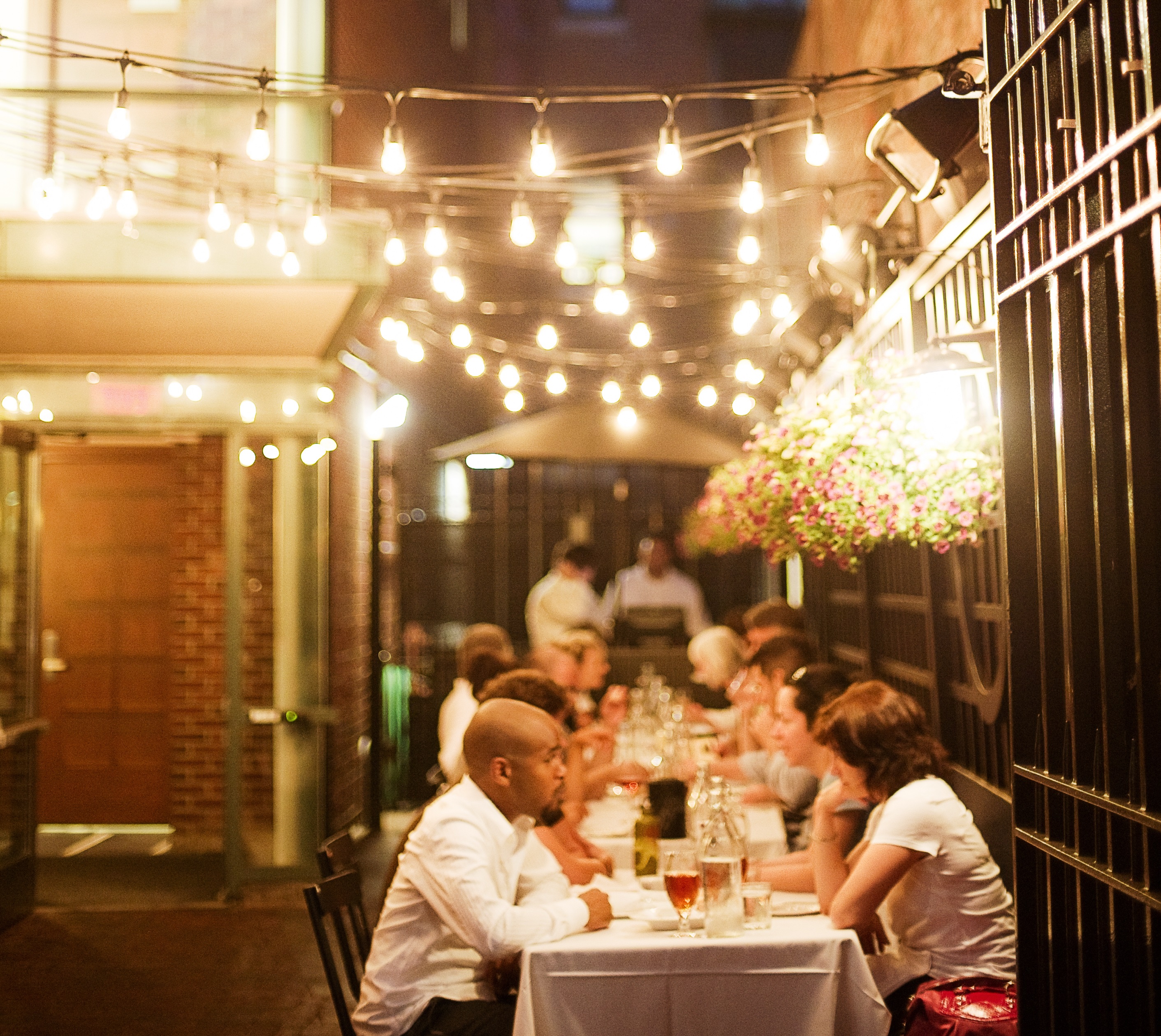 Harvard square best sale outdoor dining