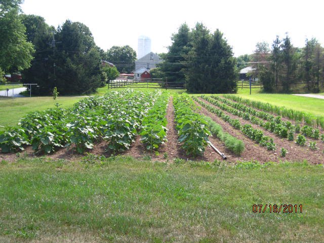 Penn Vermont Fruit Farm