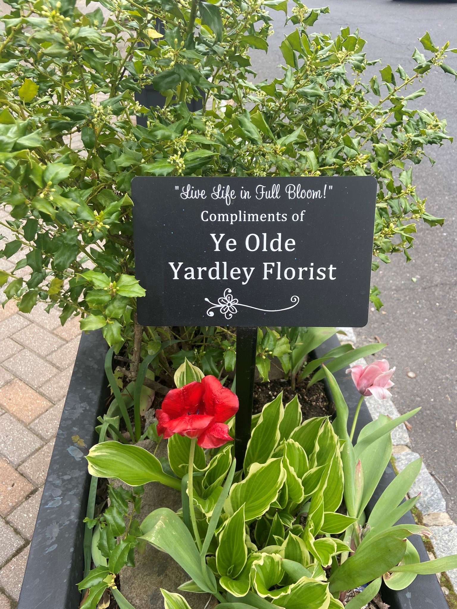 Ye Olde Yardley Florist | Yardley, PA