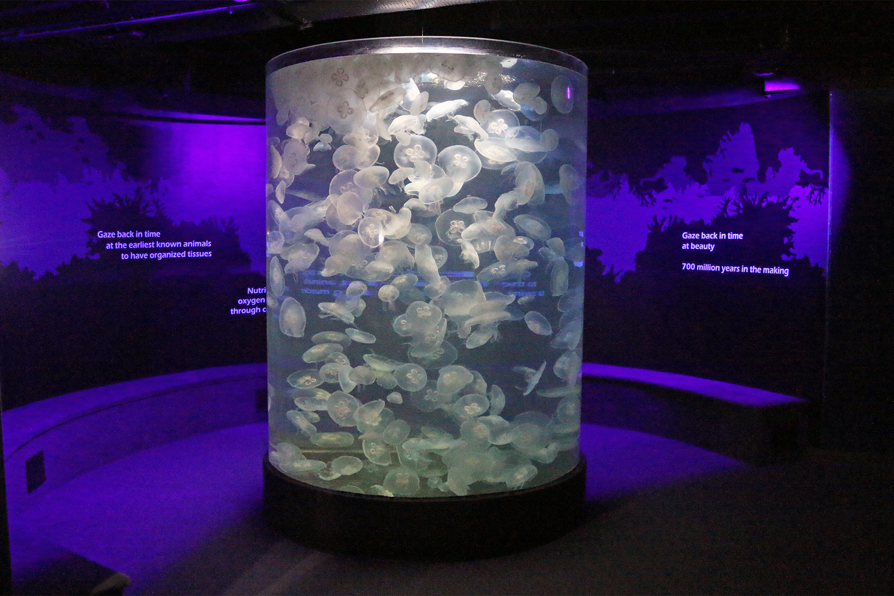 水族館　MARINETIME The Maritime Aquarium at Norwalk