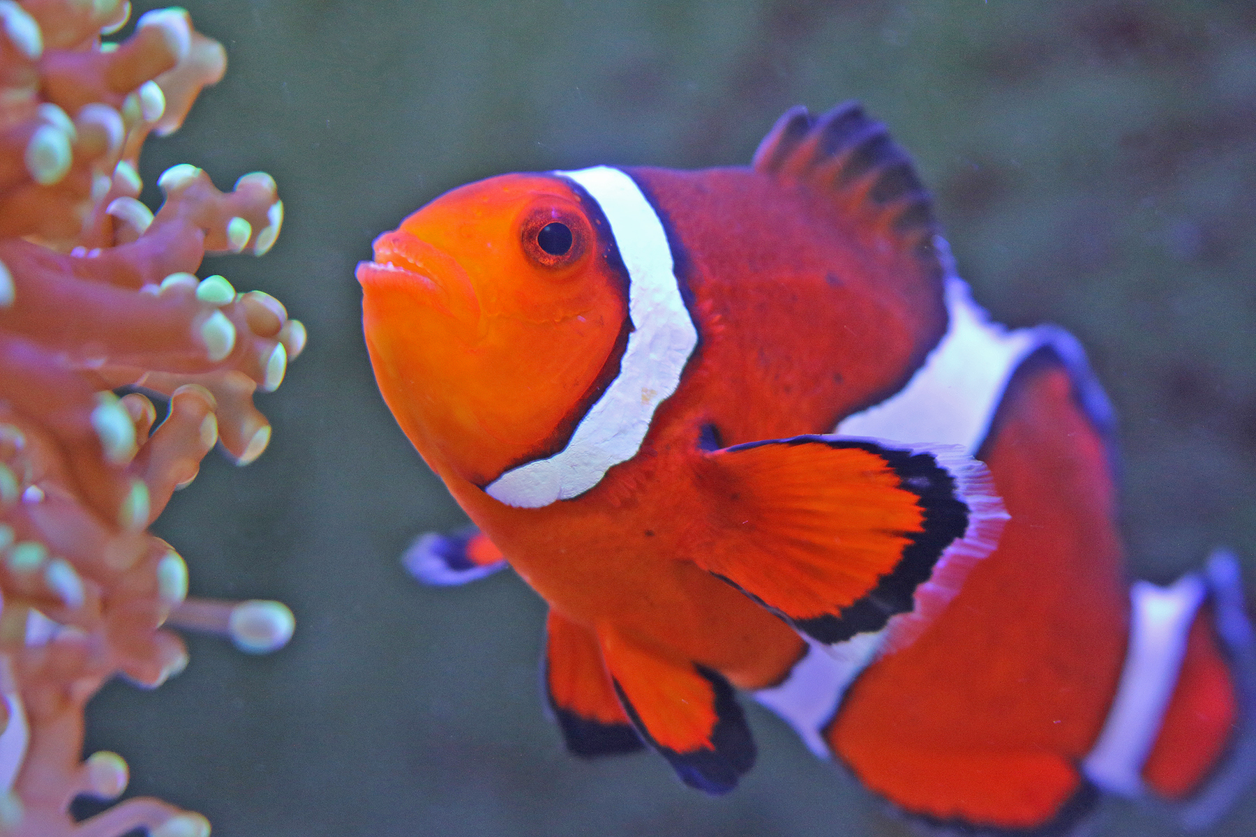 The Maritime Aquarium at Norwalk