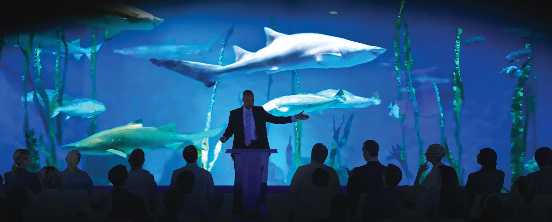 The Maritime Aquarium at Norwalk