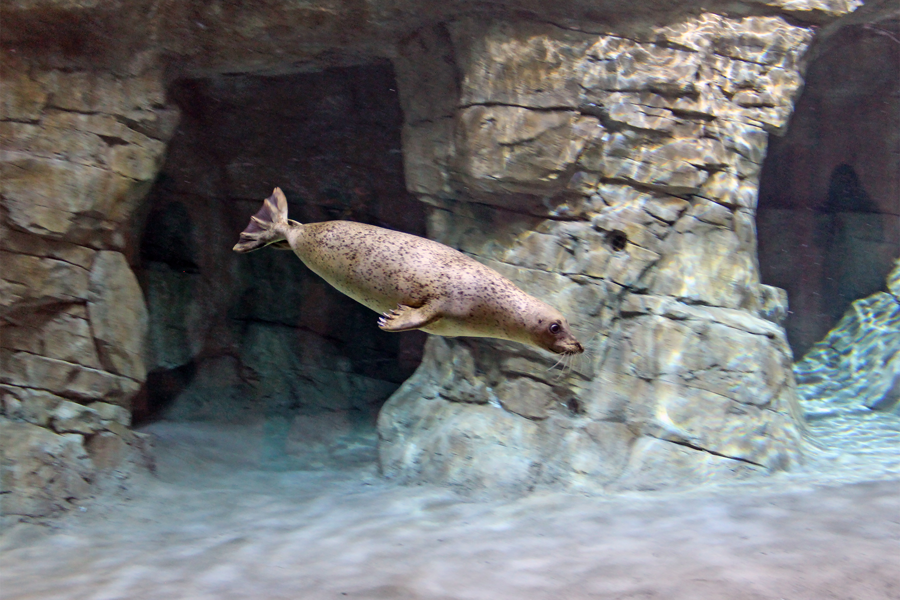 The Maritime Aquarium at Norwalk