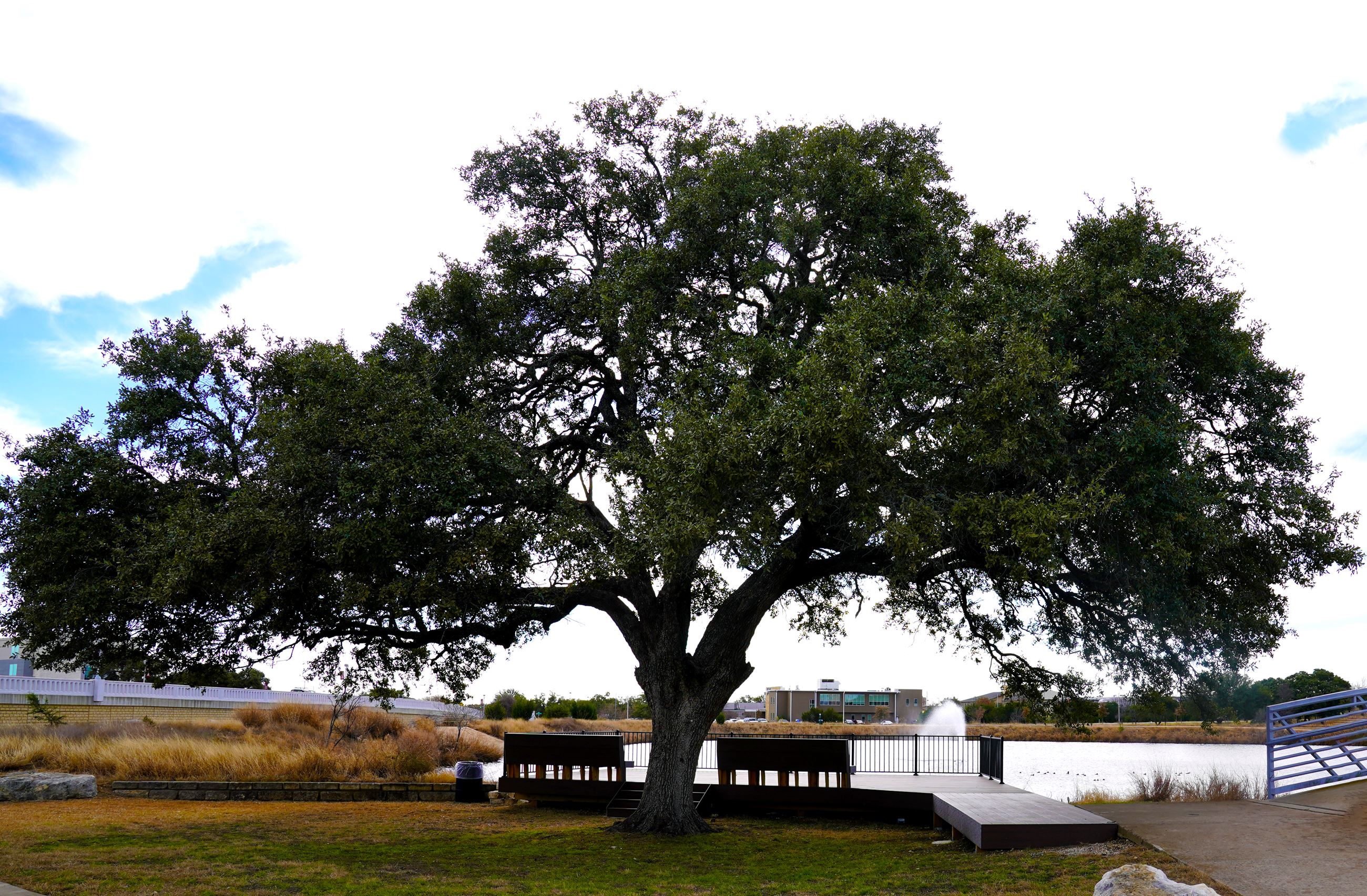 Brushy Creek Lake Park