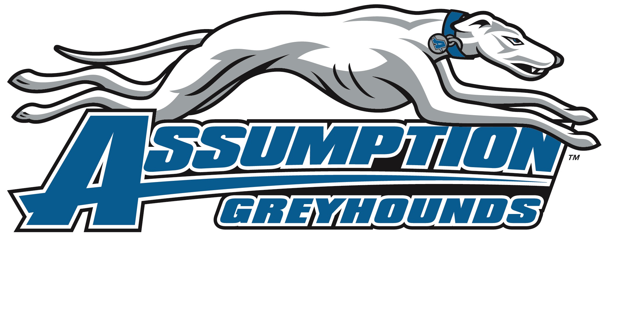 Assumption Football Logo Ontario High School Football | 2024