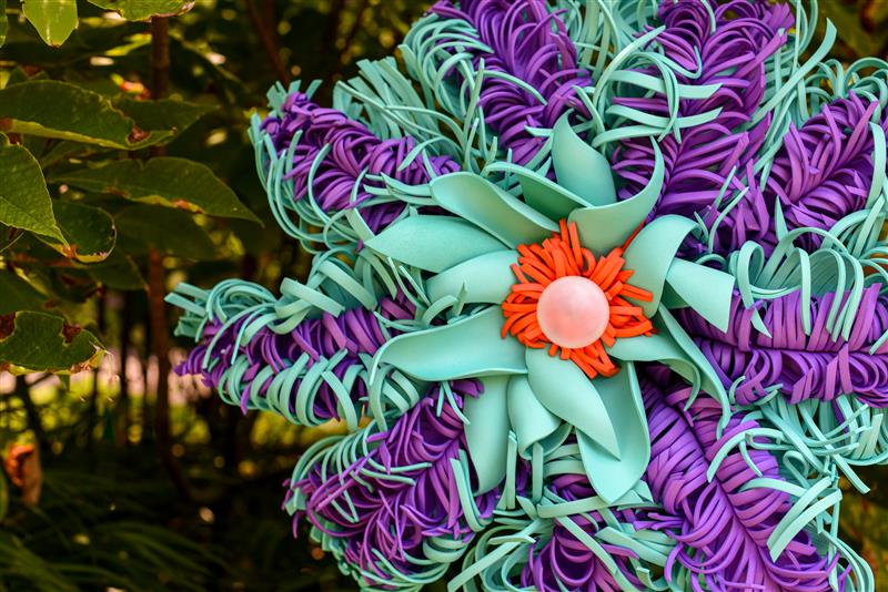 Stranger Plants at New England Botanic Garden