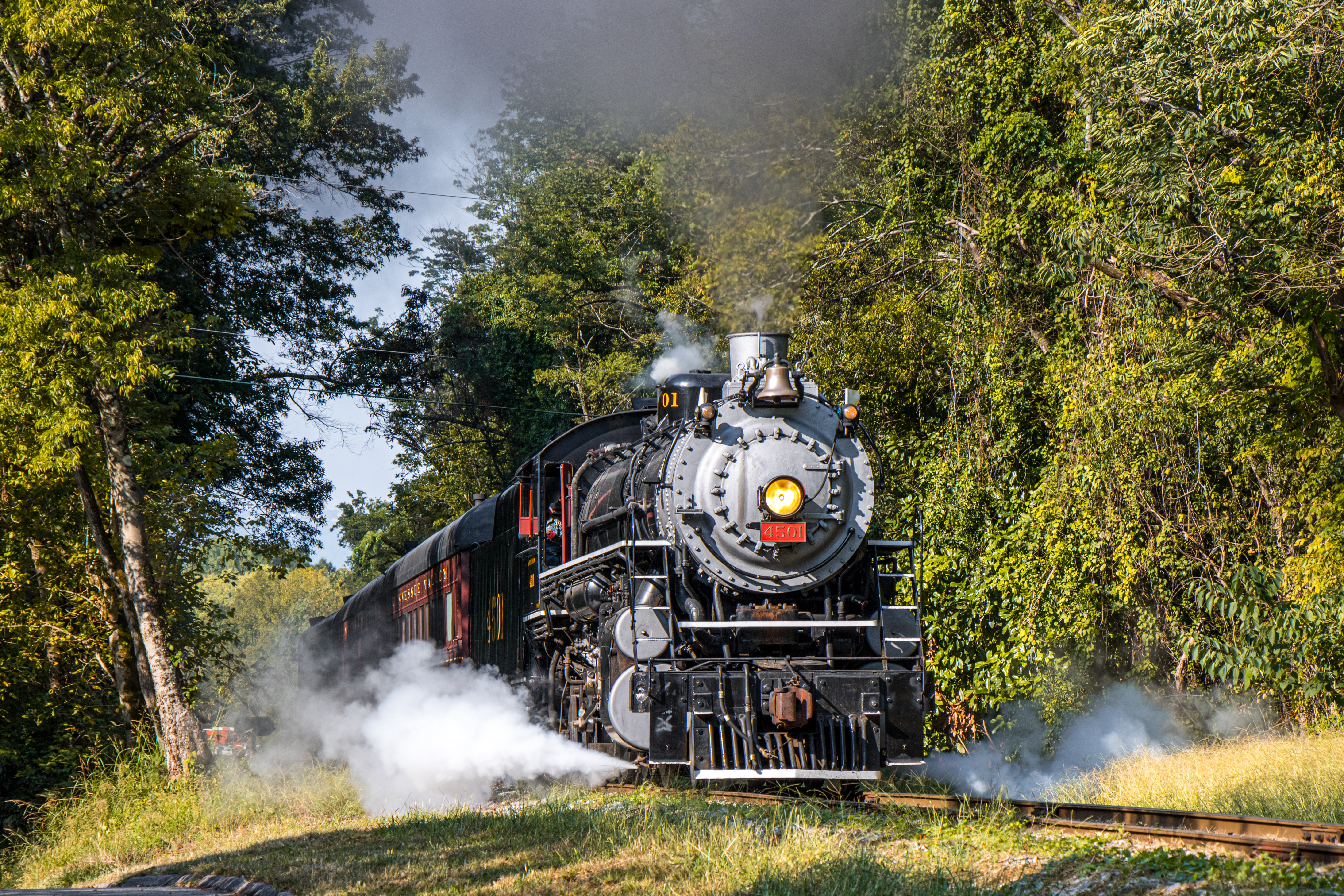 Summerville Steam Special