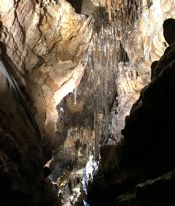 有名な高級ブランド Ruby Falls 邦楽