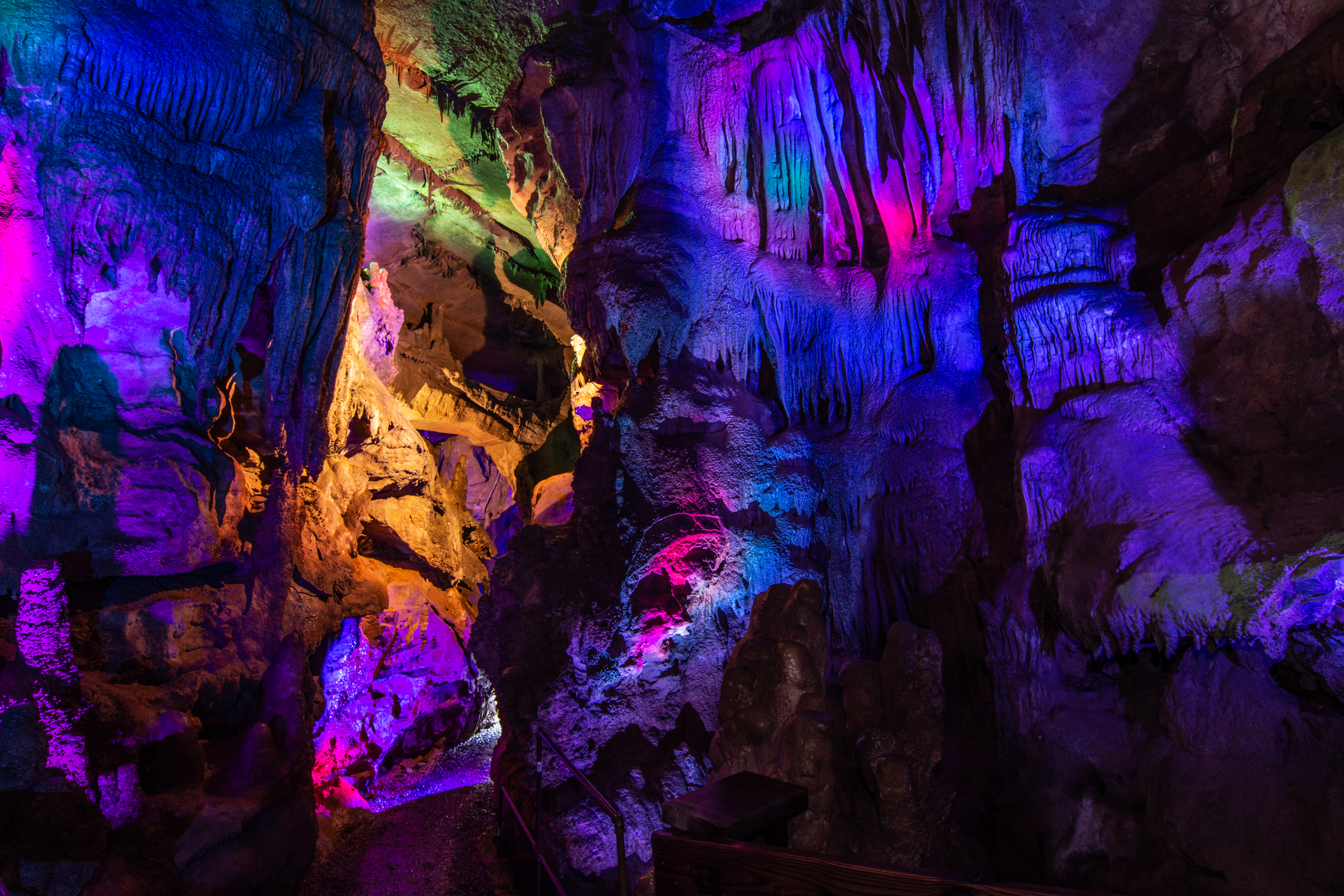 National Raccoon Day at Raccoon Mtn Caverns