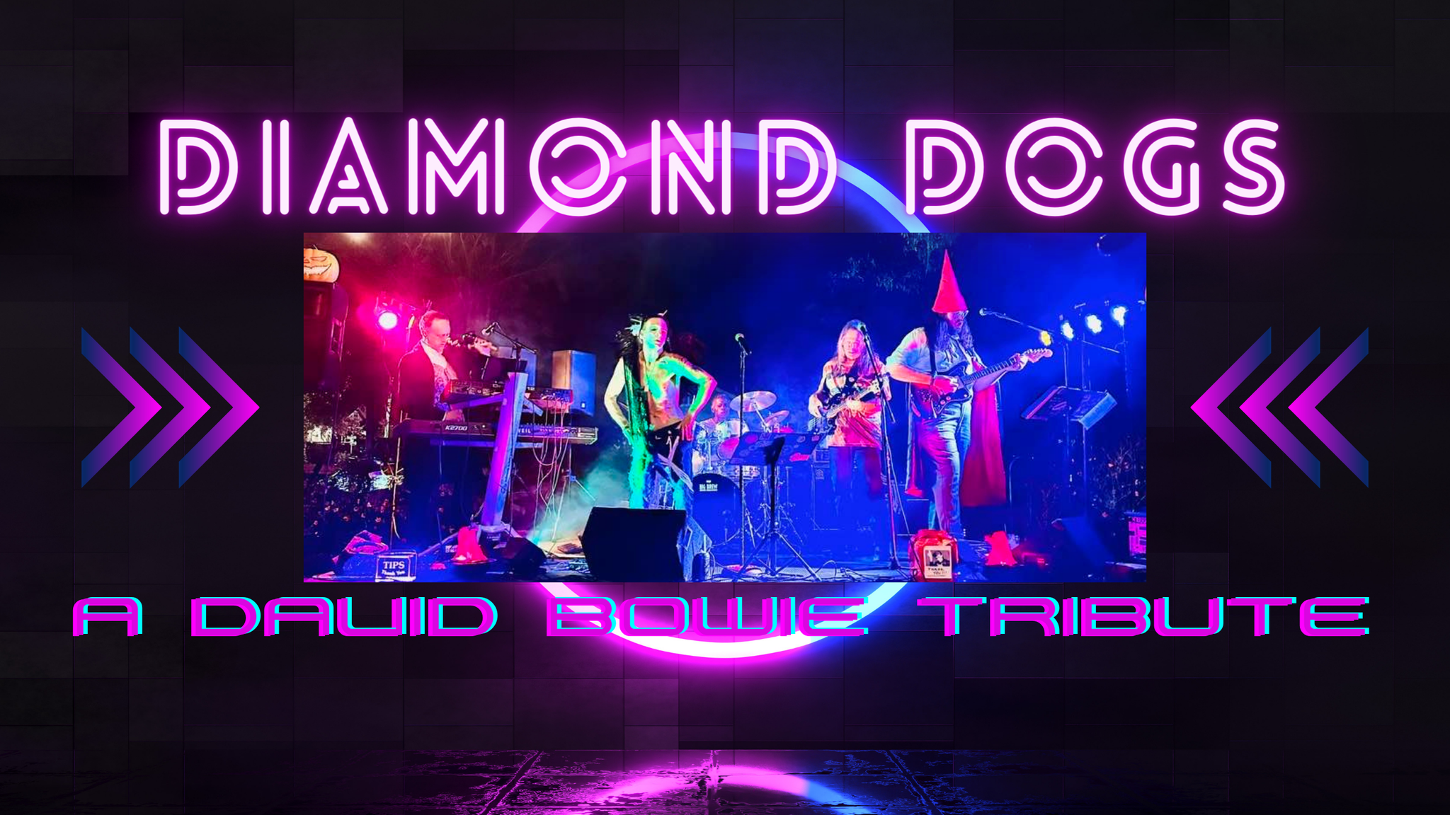 ミュージック diamond dogs  anniversary 10th Diamond Dogs (30th Anniversary Edition) | Rhino