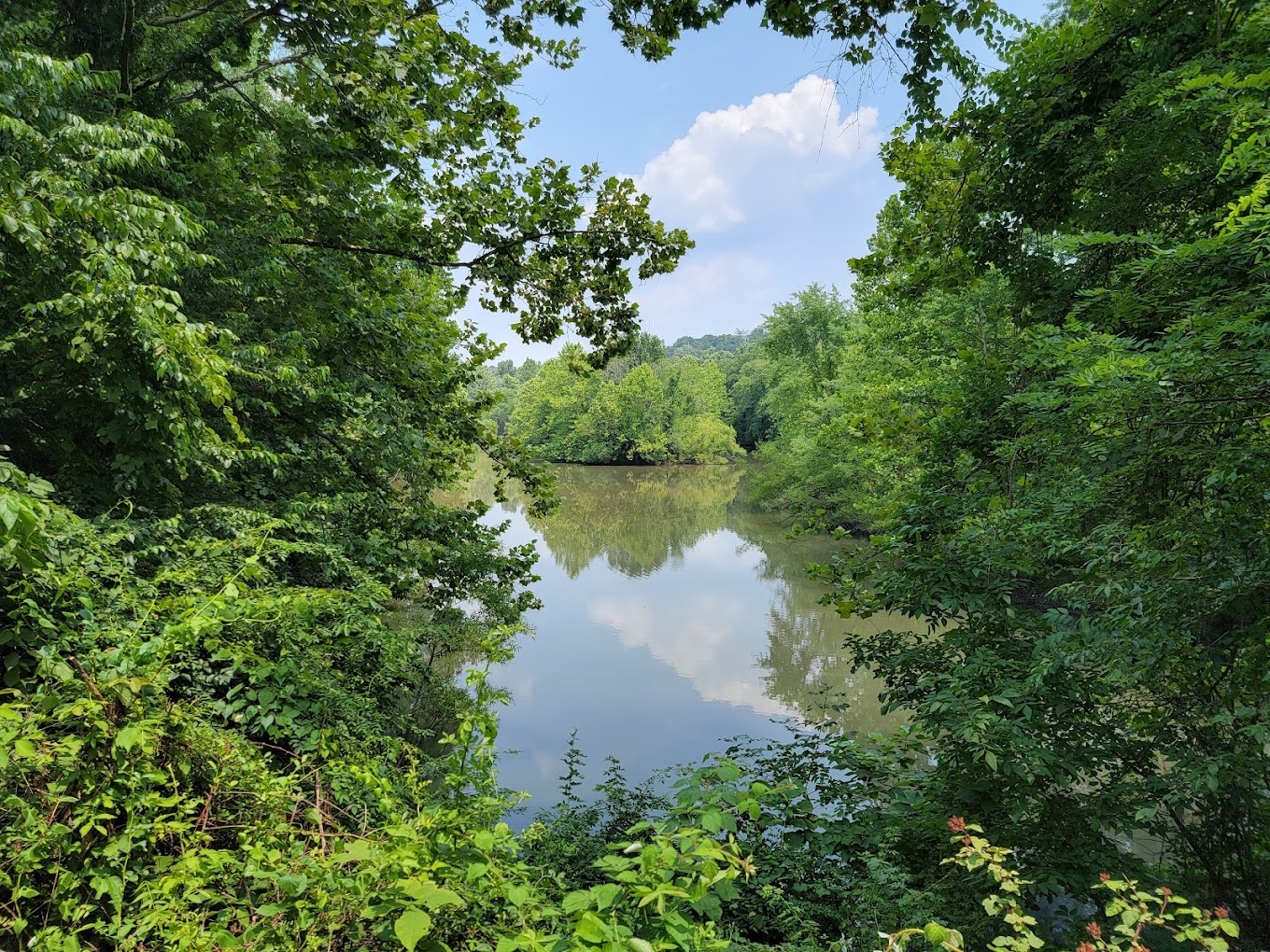 Black Rock Sanctuary (Phoenixville Area)