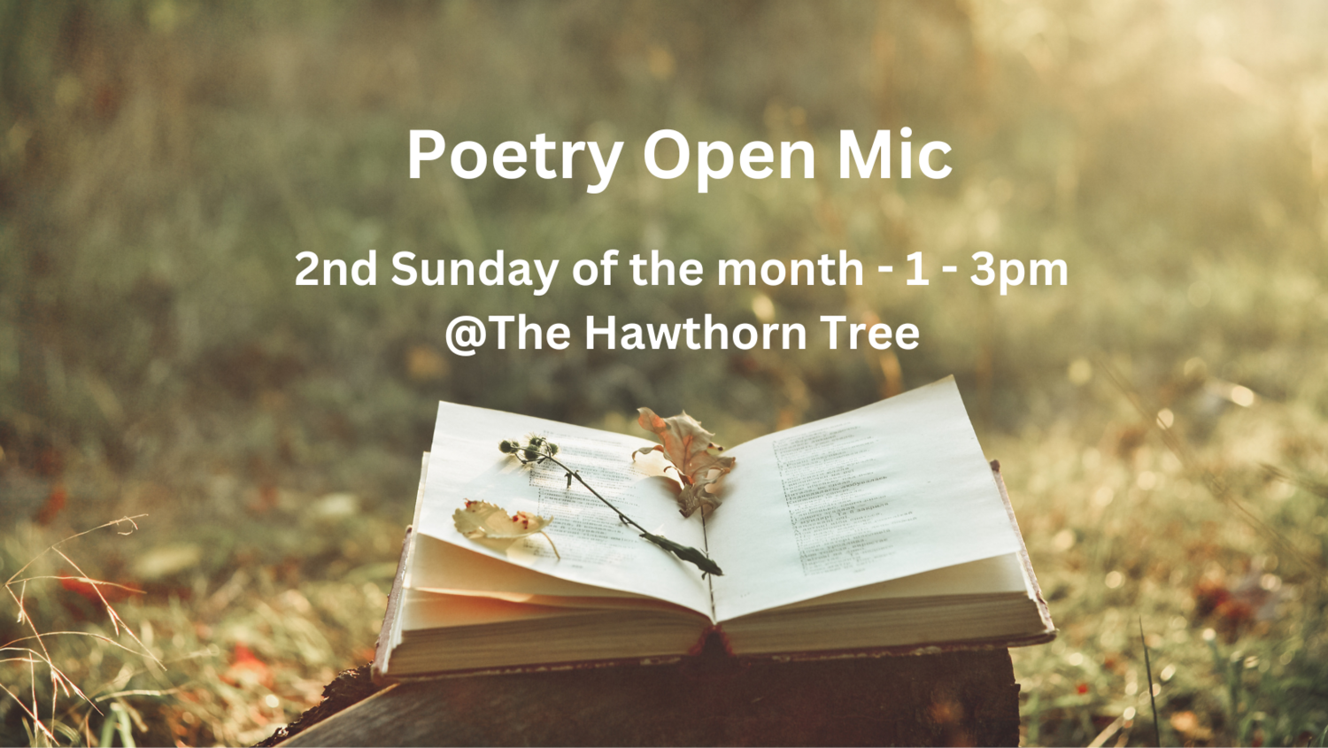 Event image: Poetry Open Mic at Hawthorn Tree