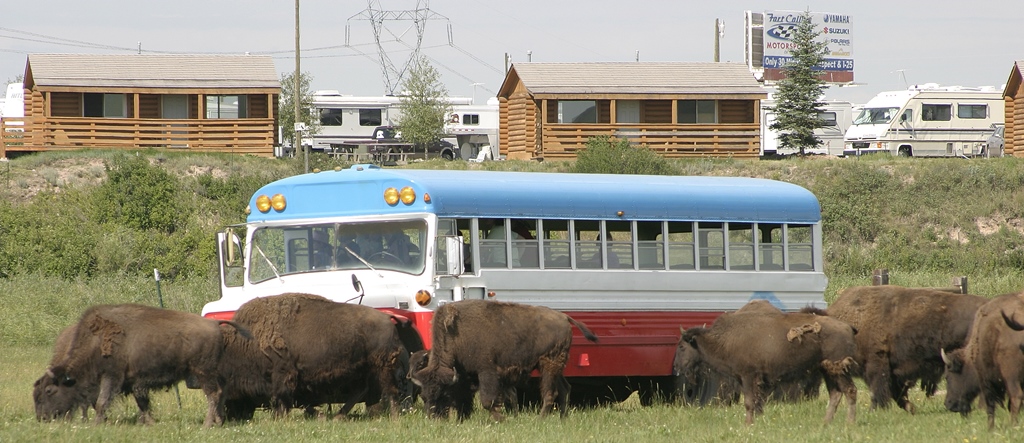 Terry Bison Ranch Cabins Bunkhouse