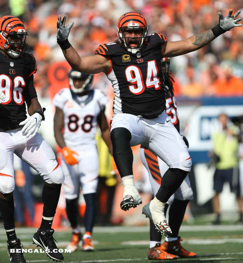 Cincinnati Bengals vs. Houston Texans Home Game