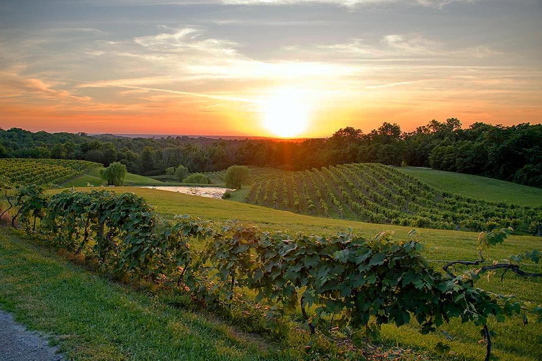 Vinoklet Winery