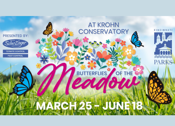 Butterflies of the Meadow