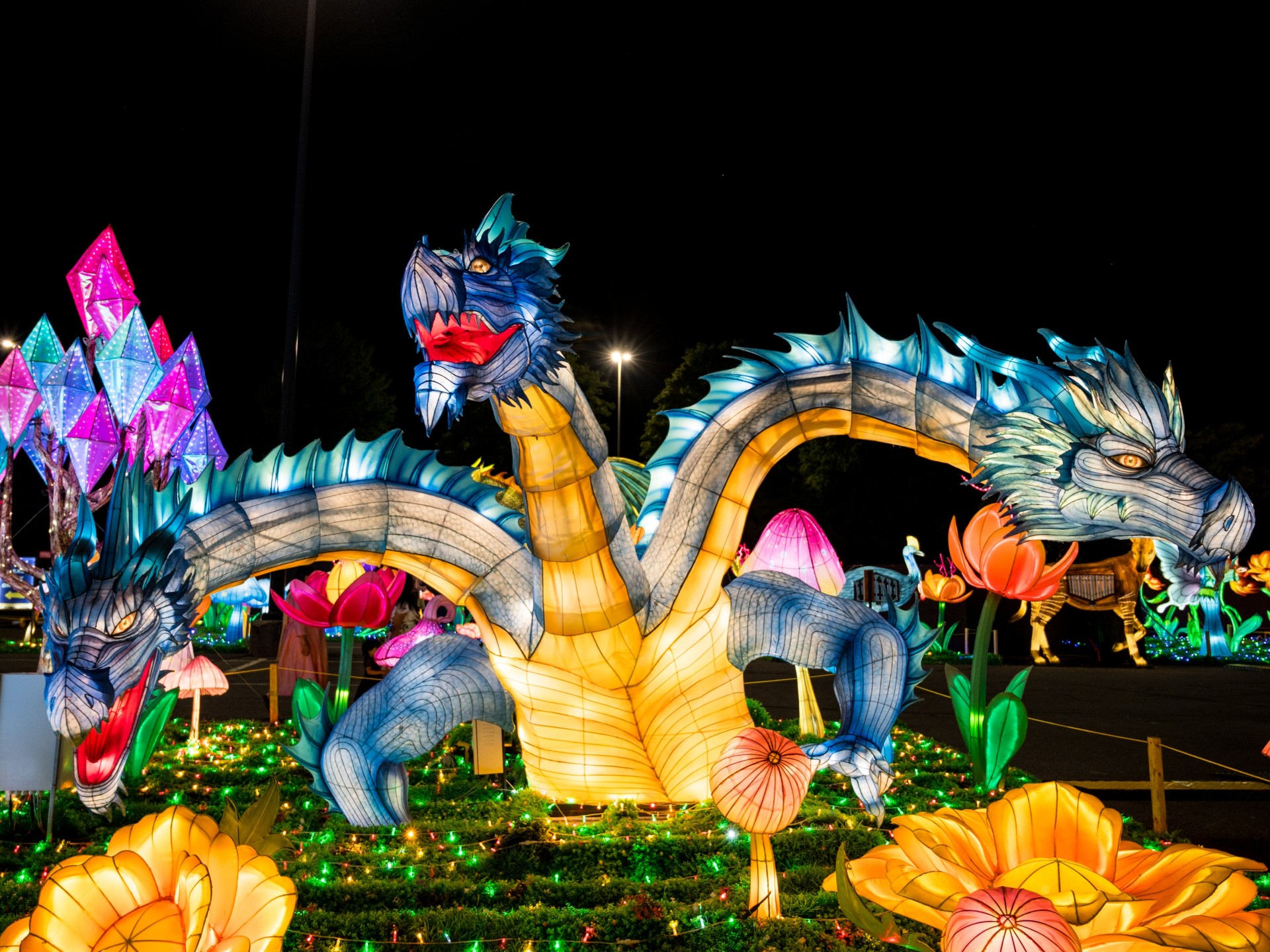 Wild Lights at the Louisville Zoo 2026 | Louisville, KY 40213