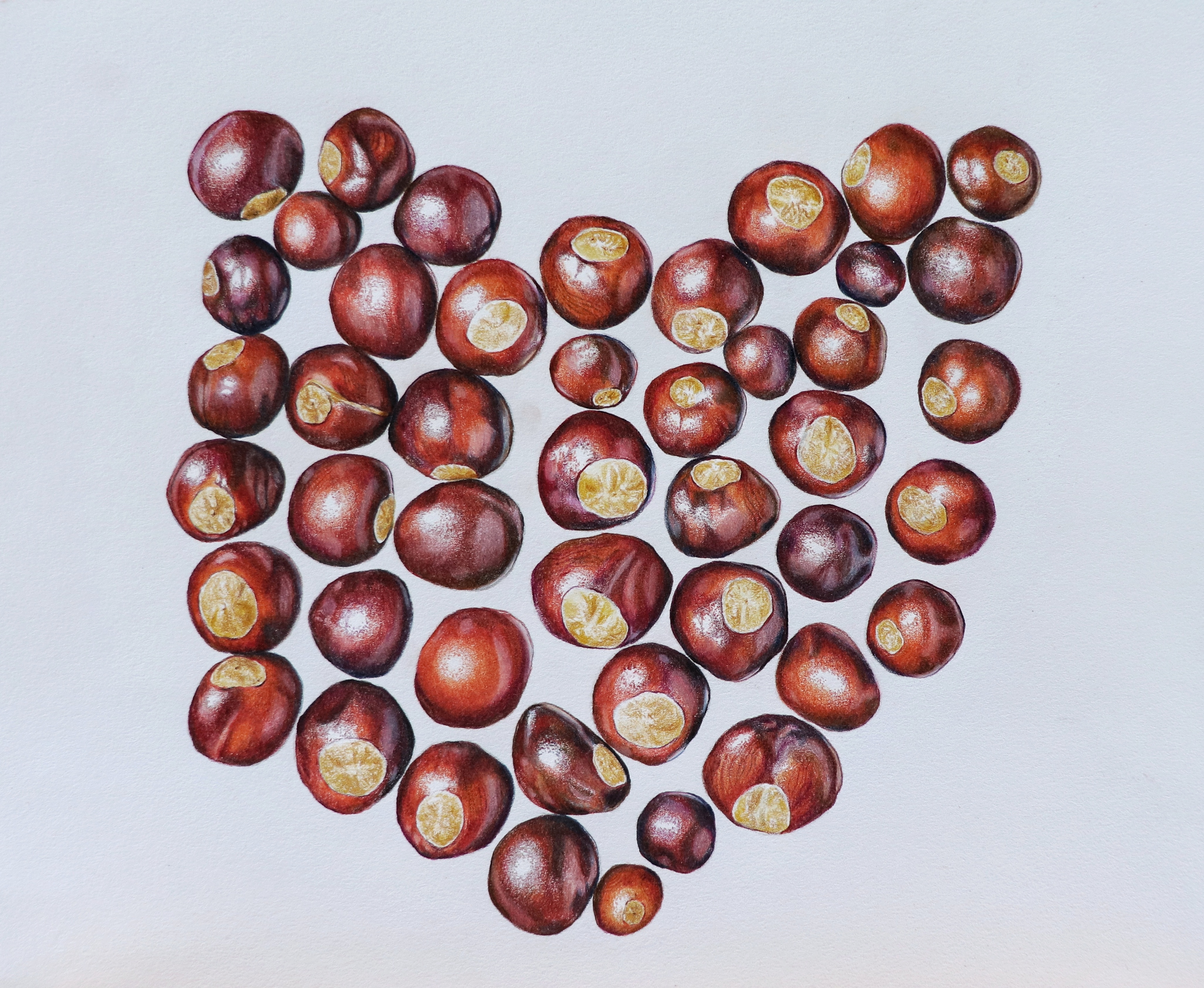 Across the Field: An Artistic Tribute – 2nd Annual Juried Show