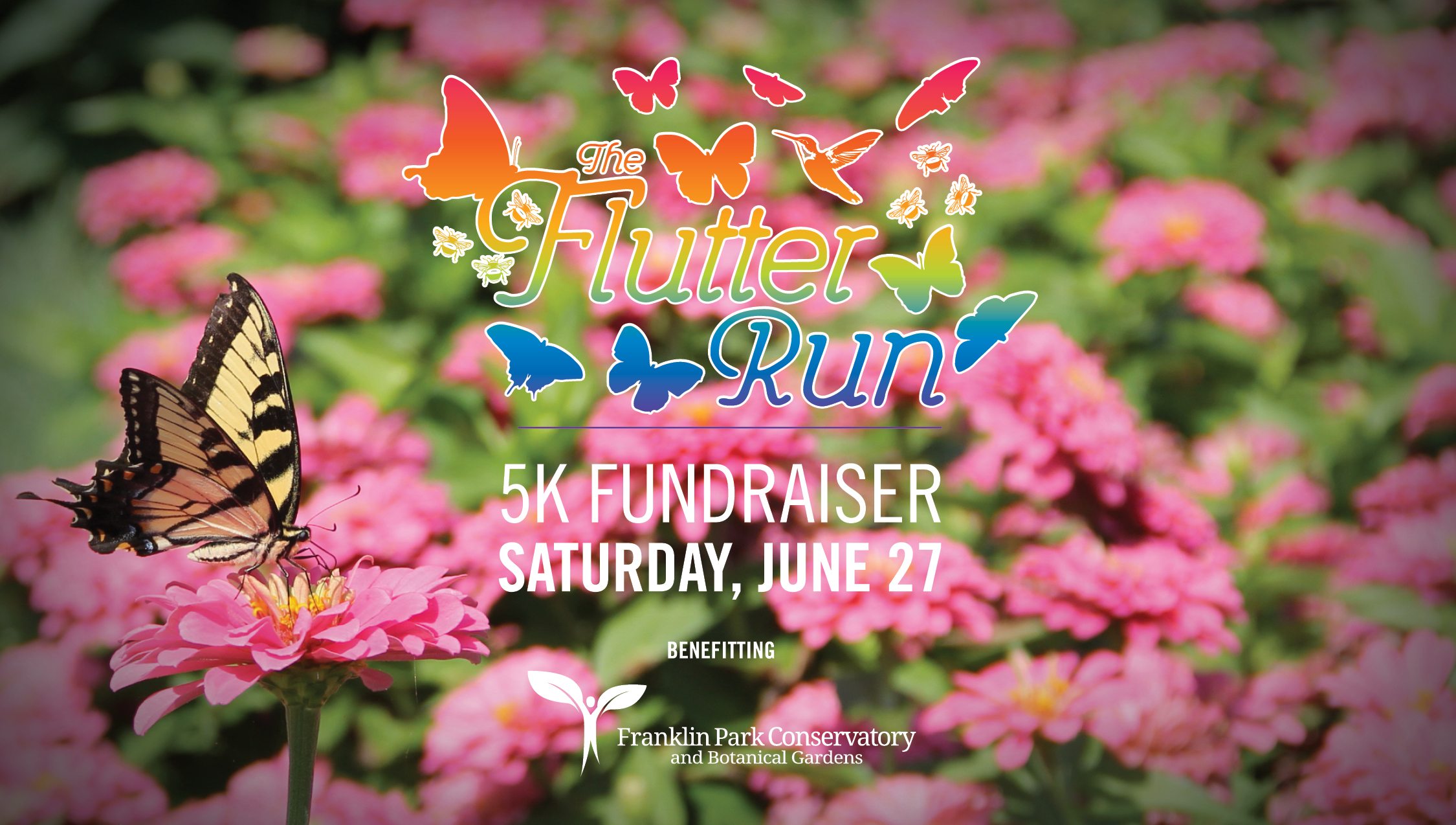 The Flutter Run