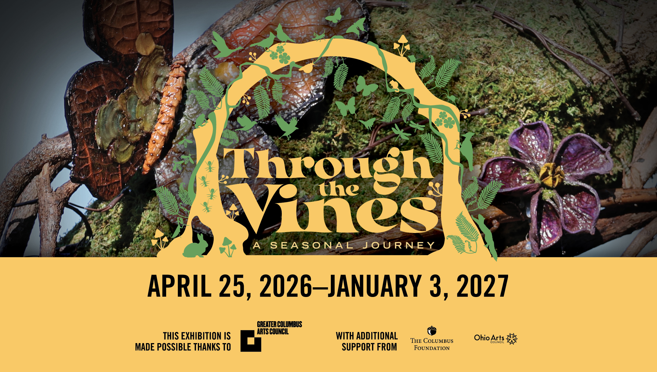 Through The Vines: A Seasonal Journey