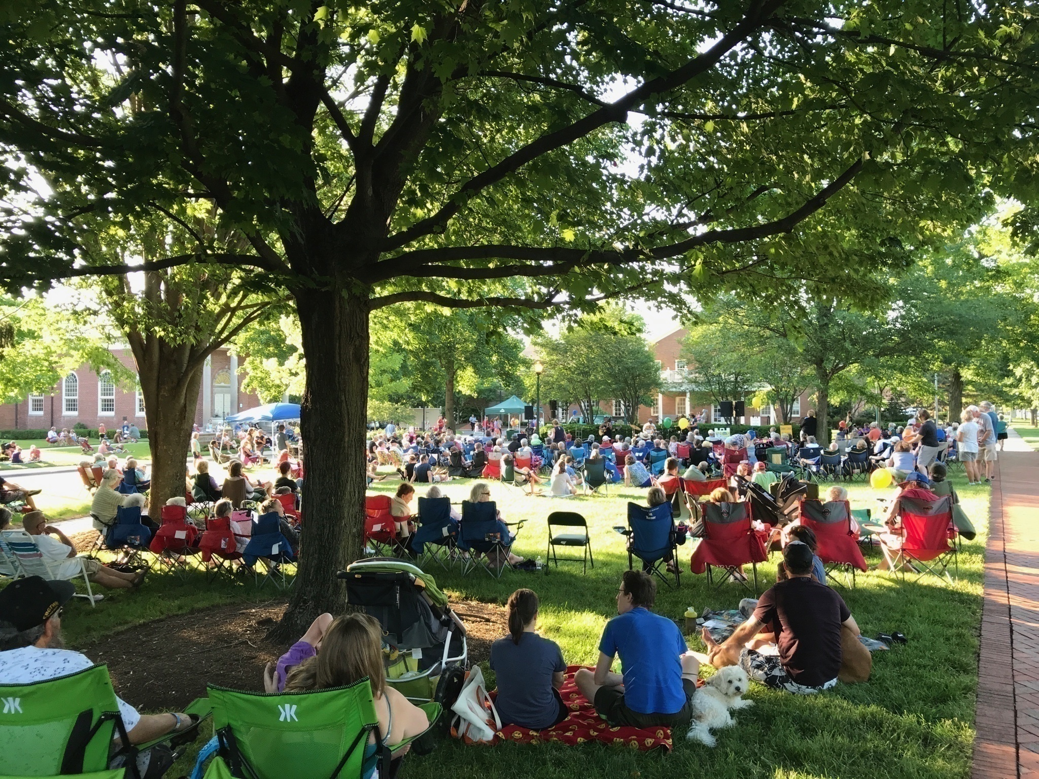 Concerts on the Green: Ladies of Longford