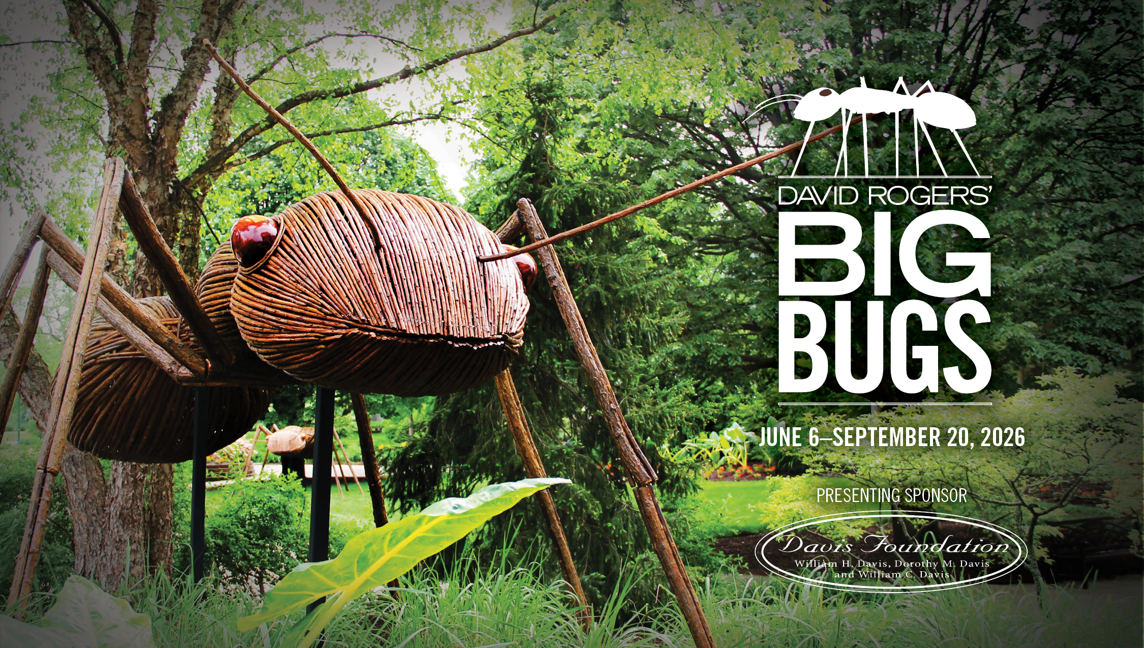 David Rogers: Big Bugs