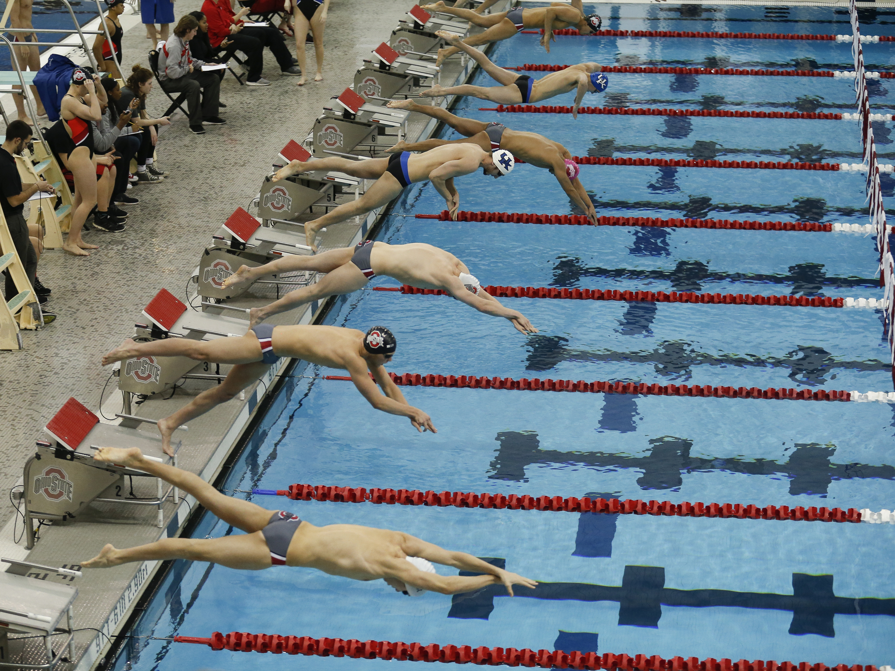 McCorkle Aquatics Pavilion | Columbus, OH 43210
