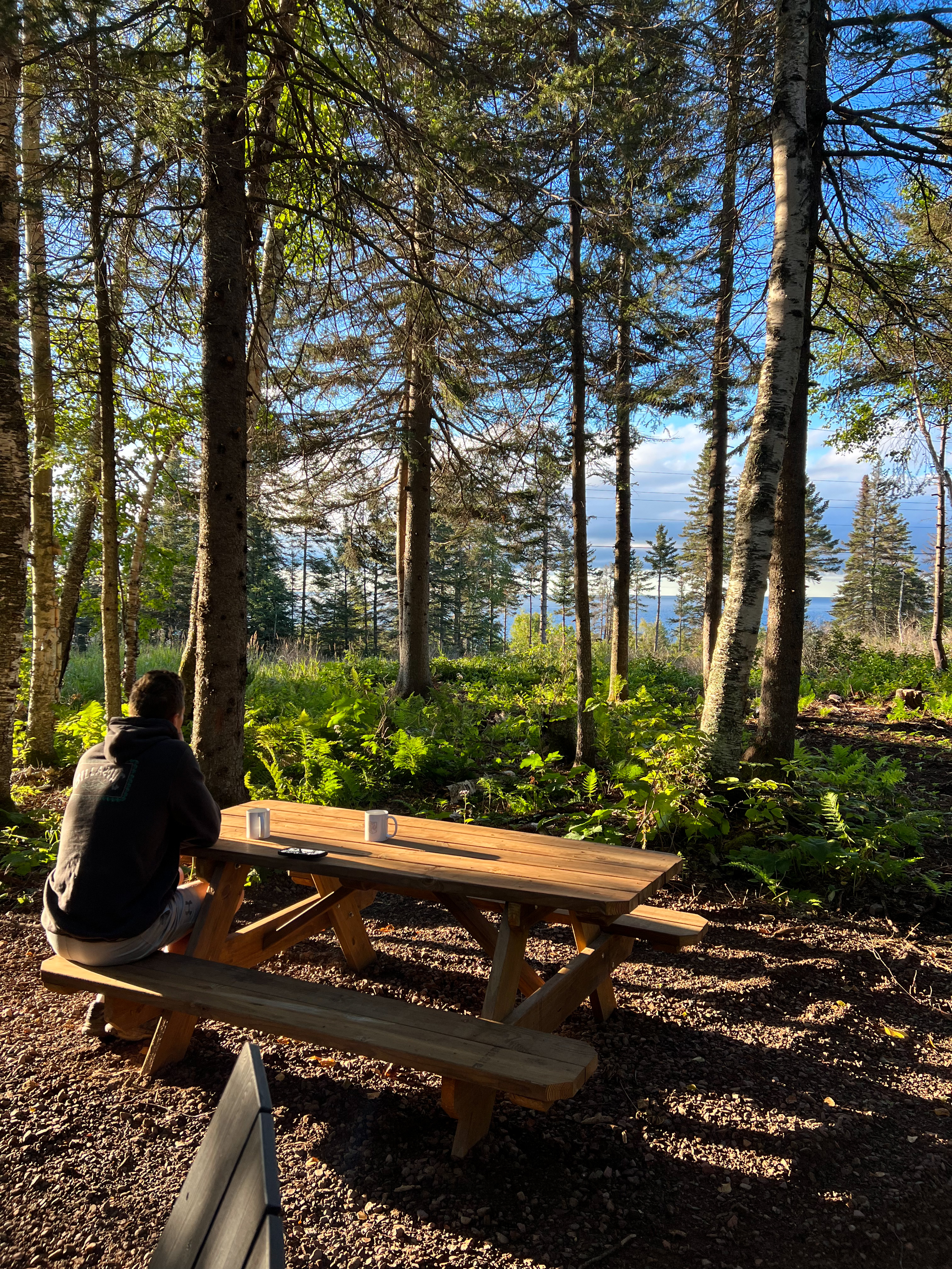 Tofte Trails - Book Your Stay