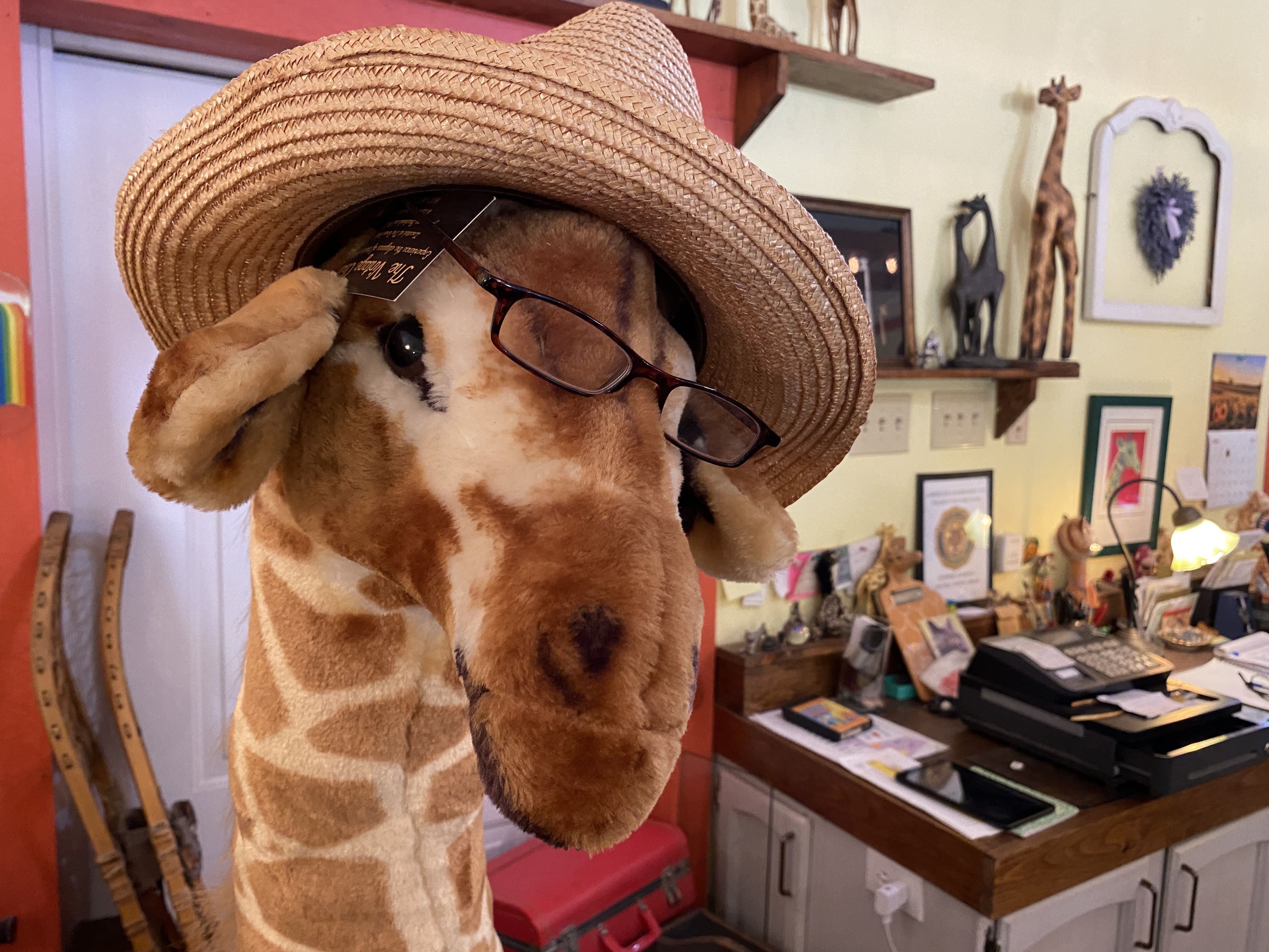 Green-Giraffe-shopping-2022-4-