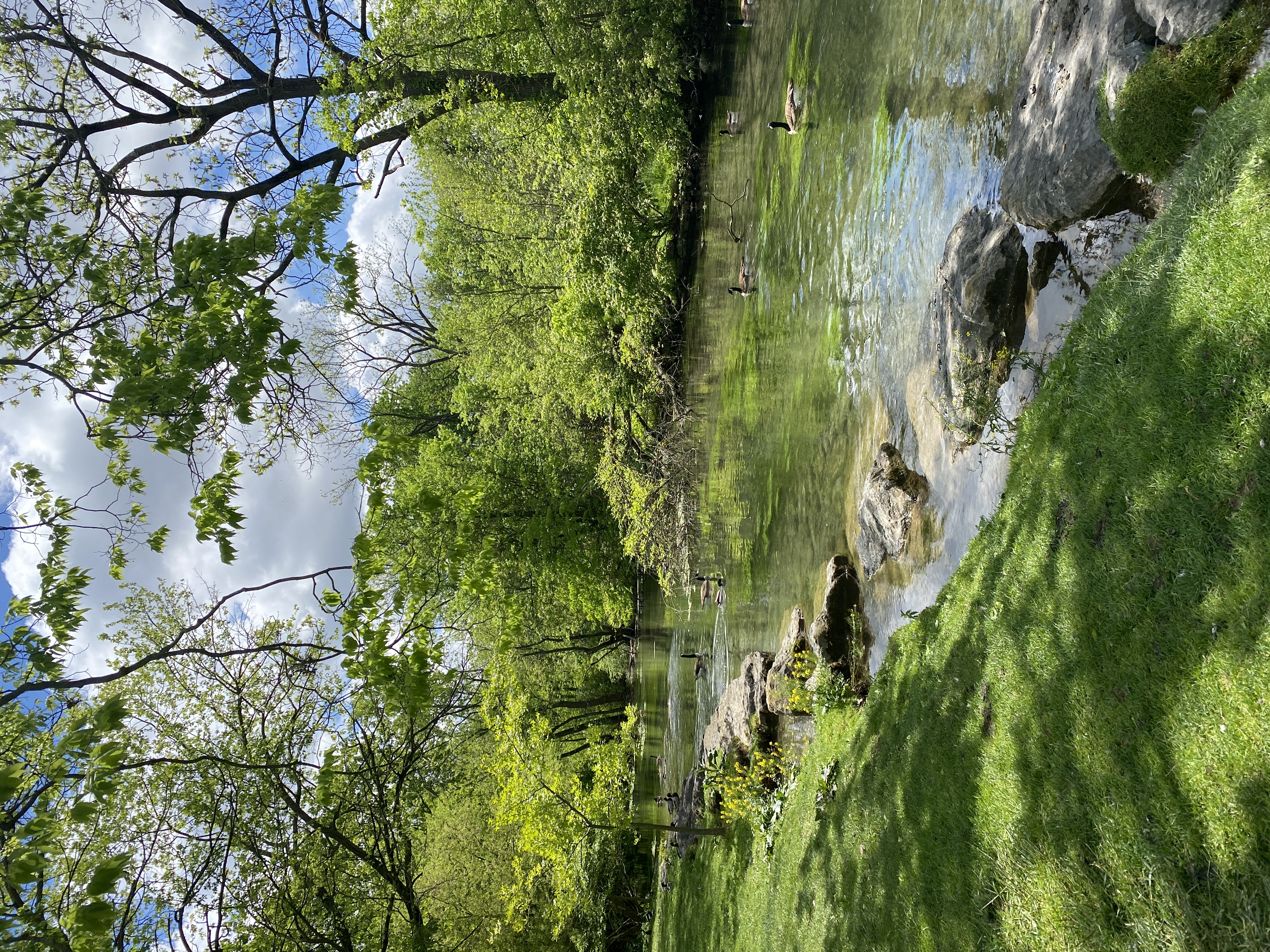 LeTort Spring Run and Nature Trail