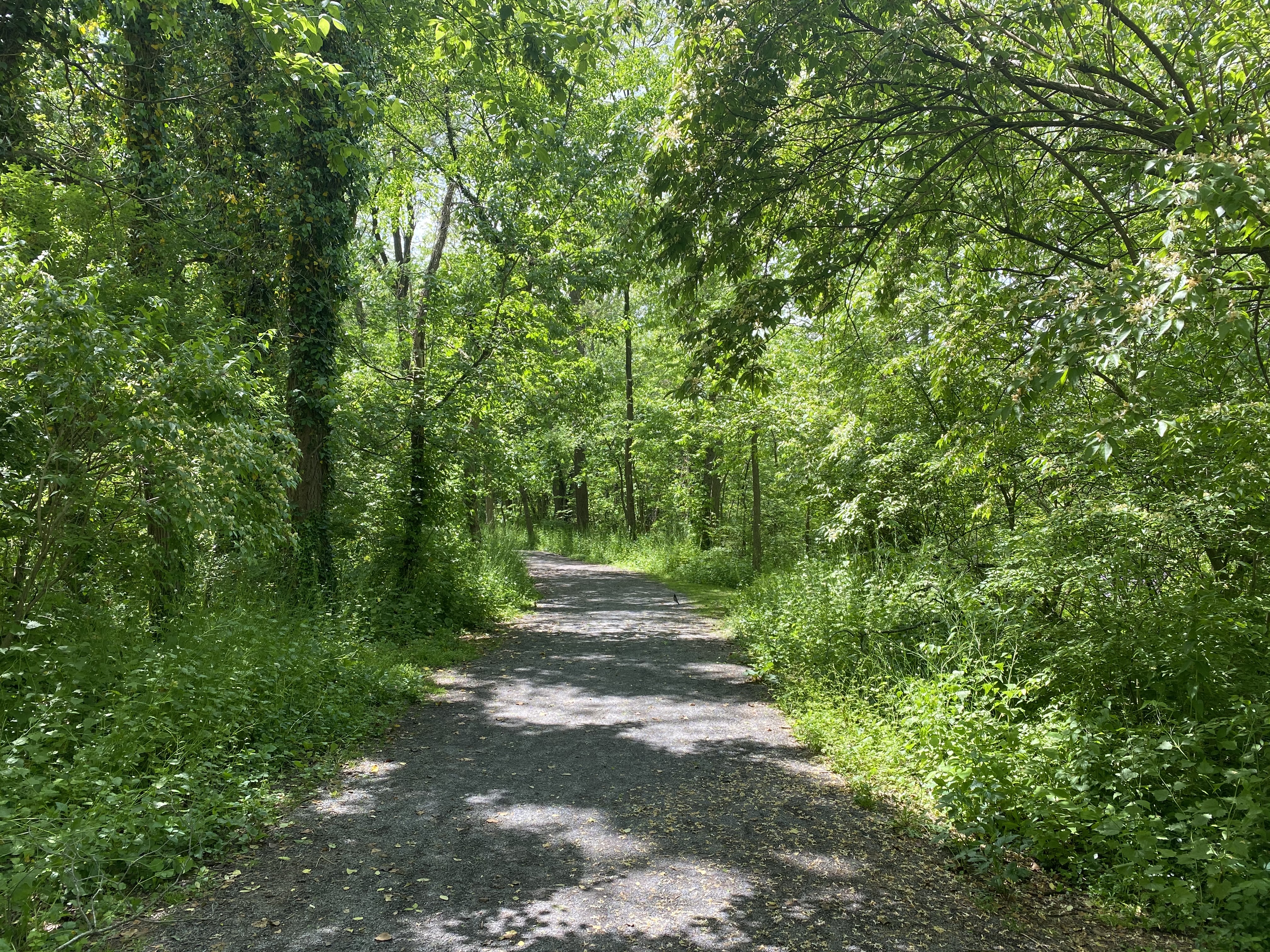 LeTort Spring Run and Nature Trail