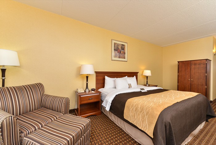 Comfort Inn Mechanicsburg Harrisburg South