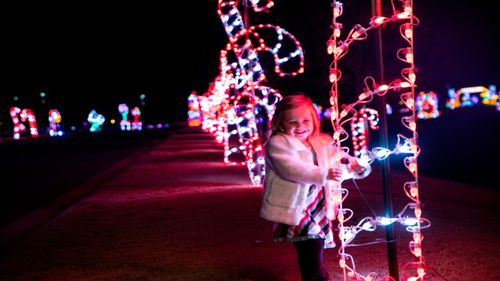 little elm magic of lights