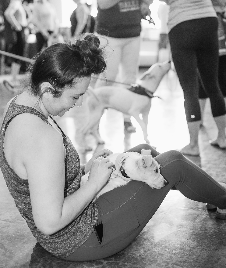 Puppy Yoga