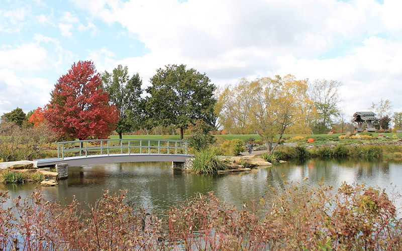 Cox Arboretum